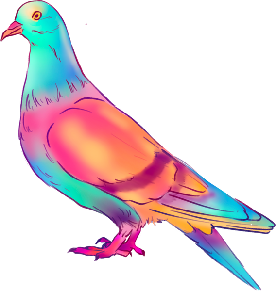 Vibrant Airbrush Pigeon